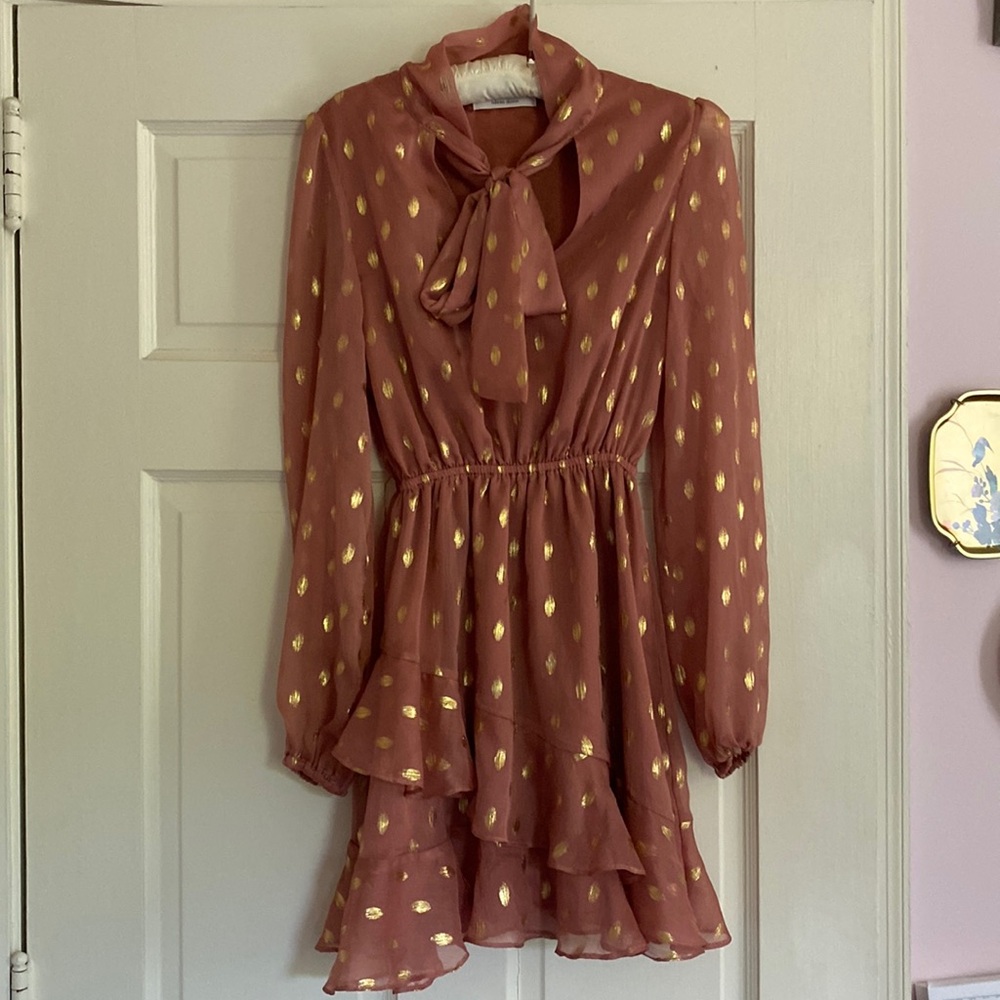 Idem ditto Ruffled Metallic Mini Dress Bisque and Gold